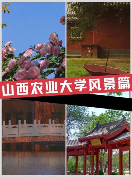 山西农业大学在哪个城市_山西农业大学具体位置-第3张图片-星辰妙记
