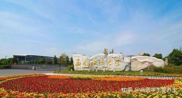 西南政法大学排名怎么样_法学专业全国第几-第3张图片-星辰妙记