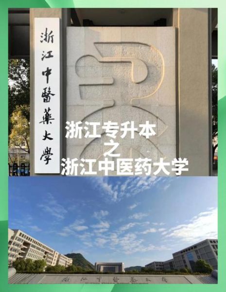 杭州中医药大学怎么样_杭州中医药大学录取分数线-第3张图片-星辰妙记