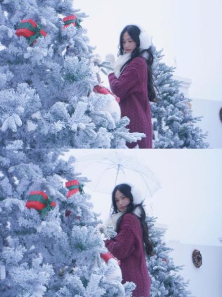 饼干头镜头是什么_饼干头镜头适合拍什么-第3张图片-星辰妙记 饼干头镜头是什么_饼干头镜头适合拍什么-第3张图片-星辰妙记