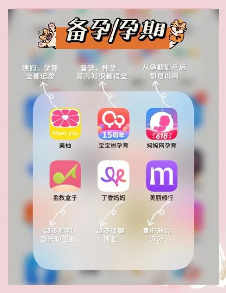孕妇软件哪个好用_孕妇软件安全吗-第3张图片-星辰妙记