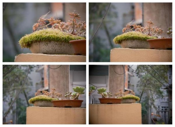 适马100-400画质怎么样_适马100-400值得买吗-第2张图片-星辰妙记