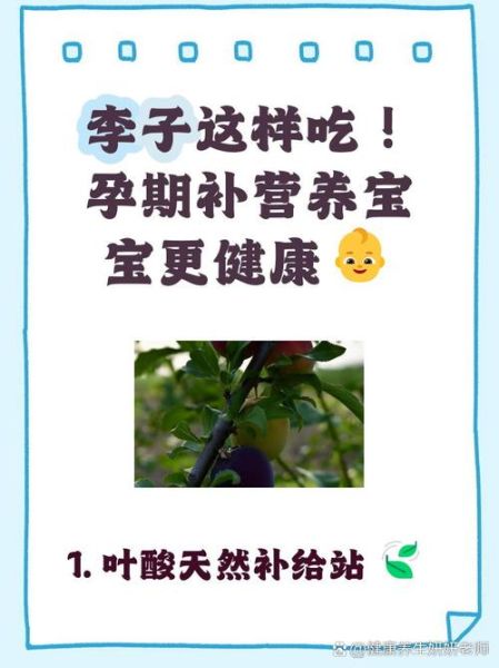 孕妇可以吃李子吗_李子对胎儿有影响吗-第1张图片-星辰妙记