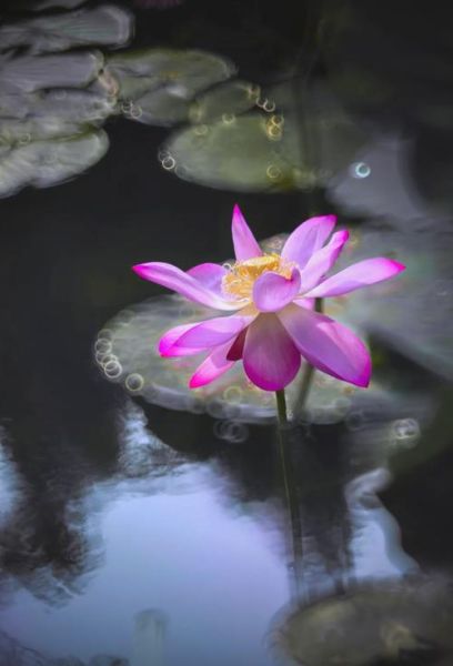 折返镜头哪款好_折返镜头推荐2024-第1张图片-星辰妙记