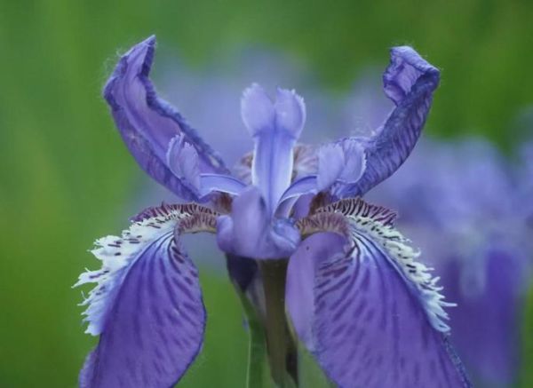 折返镜头哪款好_折返镜头推荐2024-第3张图片-星辰妙记