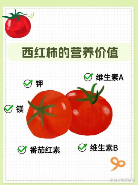 孕妇能吃番茄吗_番茄对胎儿有什么好处-第2张图片-星辰妙记