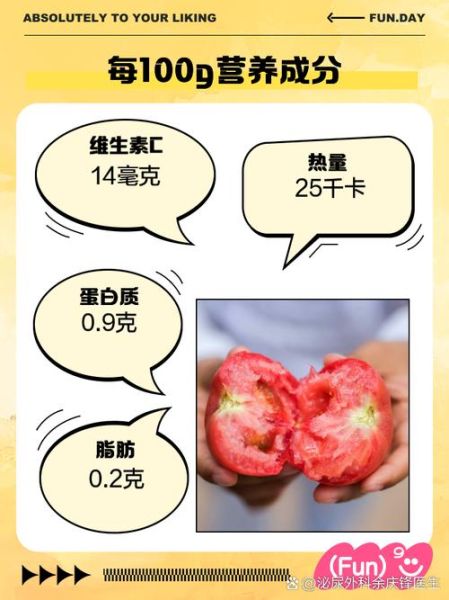 孕妇能吃番茄吗_番茄对胎儿有什么好处-第3张图片-星辰妙记