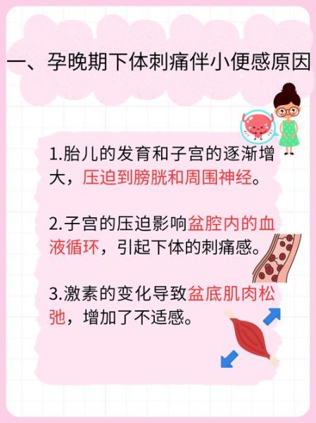 孕妇下体疼是怎么回事_孕晚期下体疼怎么缓解-第1张图片-星辰妙记