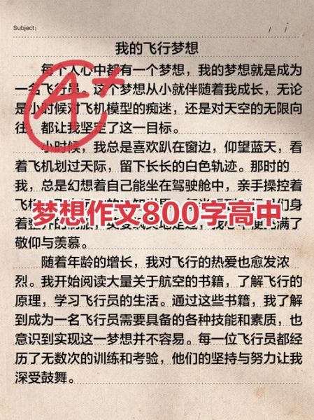 高中生如何写好理想作文_理想作文800字写作技巧-第1张图片-星辰妙记