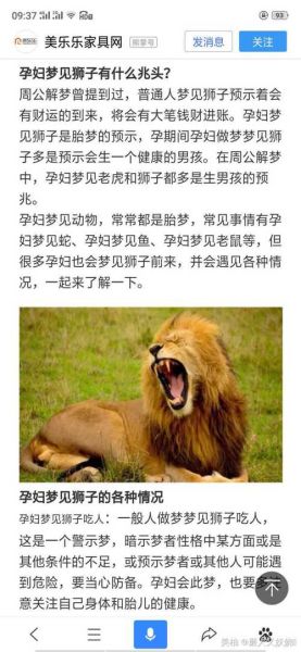 孕妇梦见狮子是什么意思_孕妇梦见狮子生男生女-第1张图片-星辰妙记