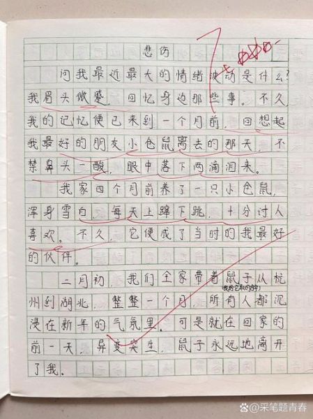 六年级作文怎么写_作文写作技巧有哪些-第2张图片-星辰妙记