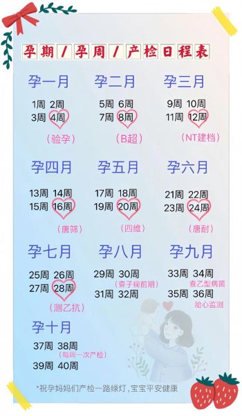 孕妇表怎么看_孕妇表怎么算孕周-第2张图片-星辰妙记