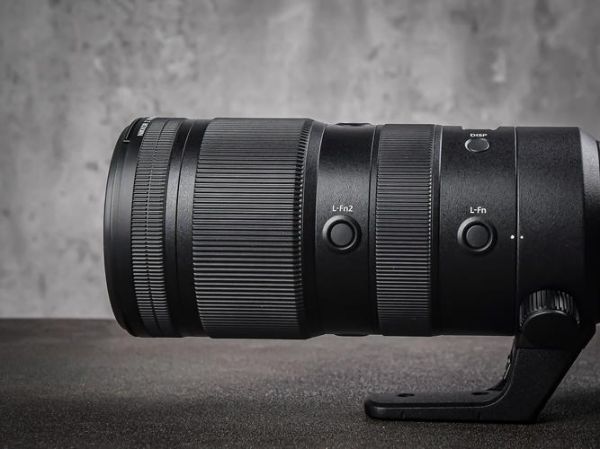 尼康70-300mm镜头值得买吗_尼康70-300mm镜头适合拍什么-第3张图片-星辰妙记