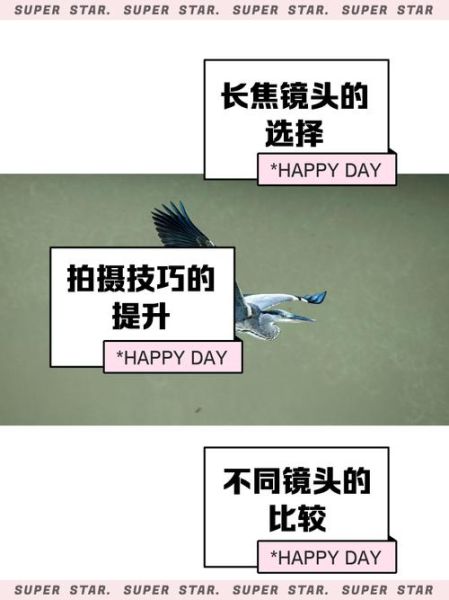 拍动物用什么镜头_长焦还是广角-第1张图片-星辰妙记