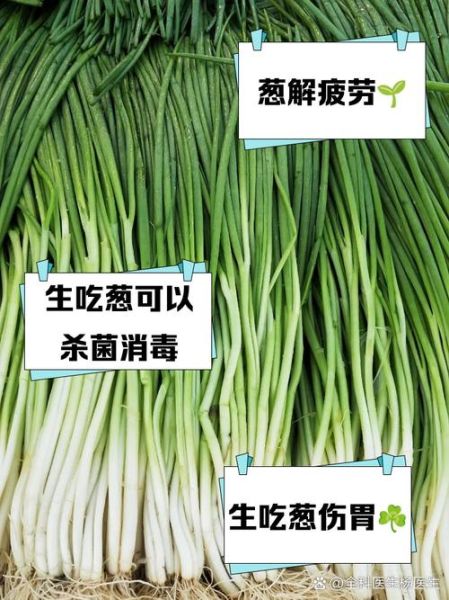 孕妇能吃葱吗_怀孕吃葱对胎儿好吗-第1张图片-星辰妙记 孕妇能吃葱吗_怀孕吃葱对胎儿好吗-第1张图片-星辰妙记