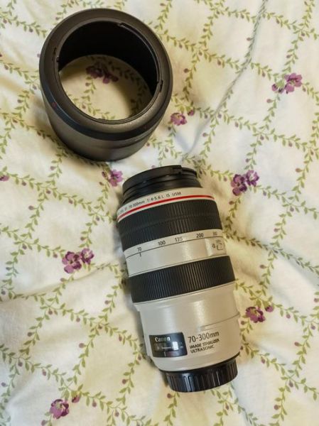 佳能70-300镜头值得买吗_画质锐度如何-第3张图片-星辰妙记