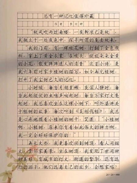 珍藏作文怎么写_珍藏的意义是什么-第2张图片-星辰妙记 珍藏作文怎么写_珍藏的意义是什么-第2张图片-星辰妙记