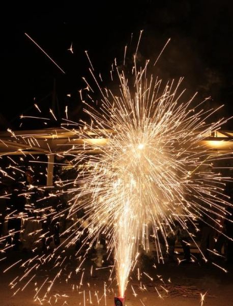 微距镜头怎么拍_微距镜头虚化背景技巧-第1张图片-星辰妙记