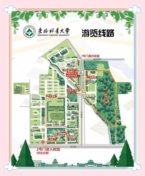 东北林业大学怎么样_东北林业大学有哪些王牌专业-第1张图片-星辰妙记