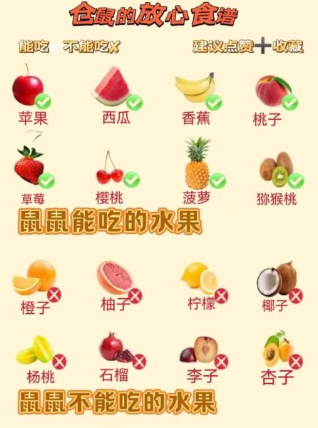 小仓鼠怎么养_小仓鼠吃什么-第1张图片-星辰妙记