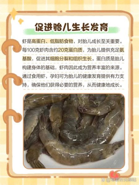 孕妇可以吃生虾吗_孕期吃生虾的风险-第1张图片-星辰妙记