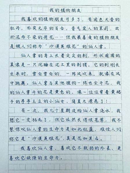 仙人掌怎么养_仙人掌的作文怎么写-第3张图片-星辰妙记 仙人掌怎么养_仙人掌的作文怎么写-第3张图片-星辰妙记