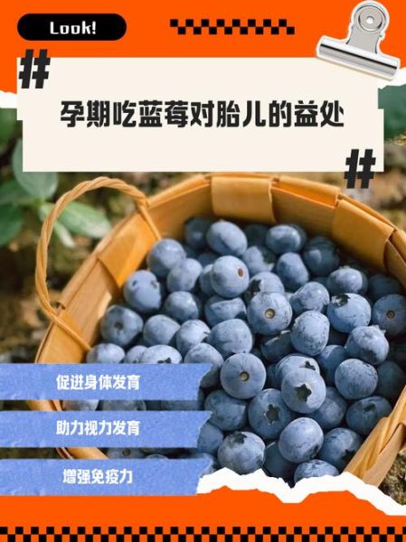 孕妇吃蓝莓对胎儿有什么好处_蓝莓对胎儿发育有哪些好处-第1张图片-星辰妙记