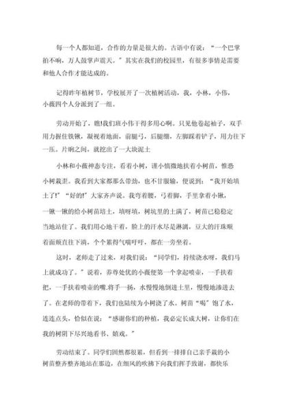 第一次合作作文怎么写_如何写第一次合作作文-第2张图片-星辰妙记