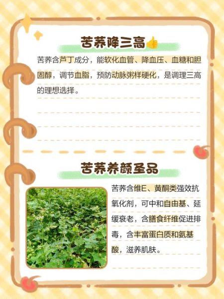 孕妇能吃苦荞吗_苦荞对孕妇的利弊-第1张图片-星辰妙记