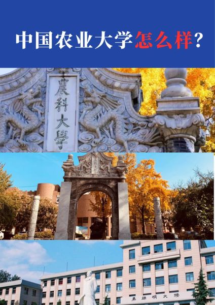 中国农业大学地址在哪里_中国农业大学有几个校区-第3张图片-星辰妙记
