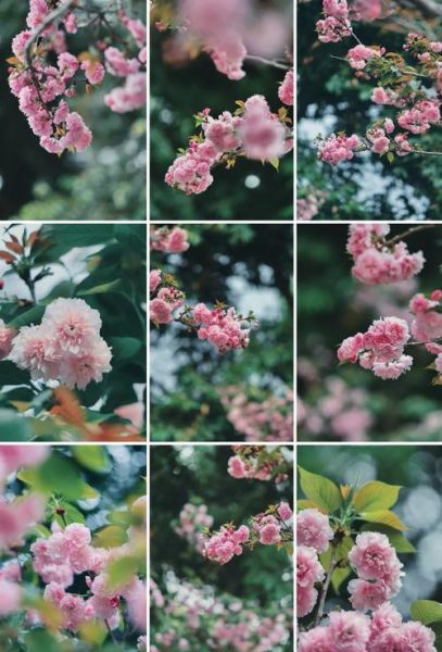 宾得镜头大全_哪款宾得镜头最值得入手-第3张图片-星辰妙记