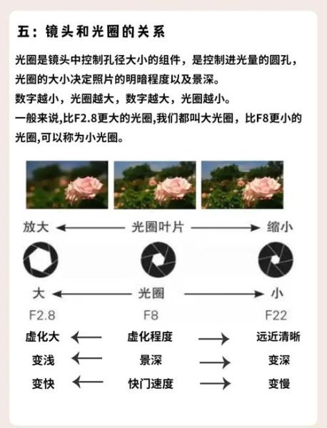 单反升格镜头怎么拍_升格拍摄设置技巧-第3张图片-星辰妙记