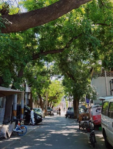 胡同镜头怎么拍_胡同摄影技巧有哪些-第2张图片-星辰妙记