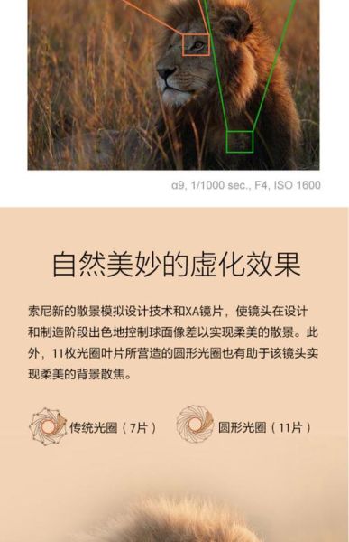 大炮镜头适合拍什么_怎么选焦距-第3张图片-星辰妙记