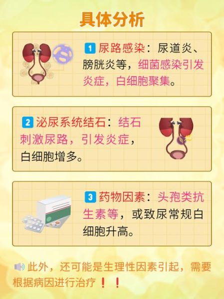 孕妇尿检细菌高是怎么回事_对胎儿有影响吗-第2张图片-星辰妙记