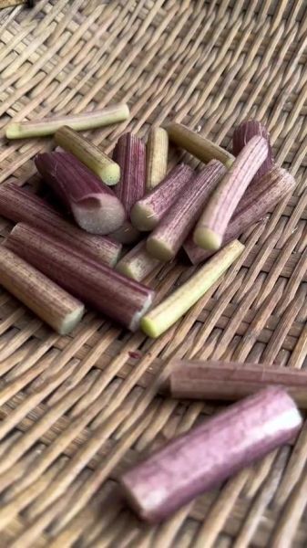 孕妇能吃芋头杆吗_芋头杆对孕妇安全吗-第1张图片-星辰妙记 孕妇能吃芋头杆吗_芋头杆对孕妇安全吗-第1张图片-星辰妙记