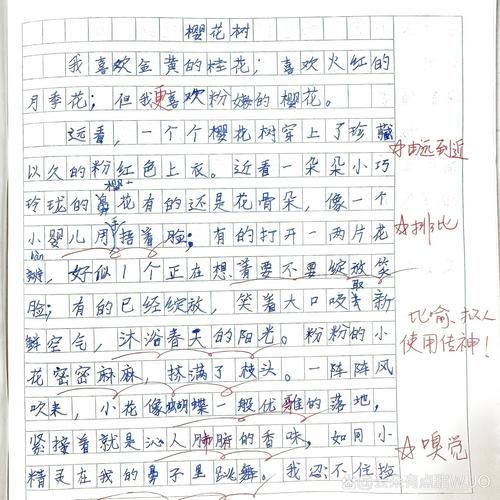 三年级100字作文怎么写_三年级作文不会写怎么办-第3张图片-星辰妙记