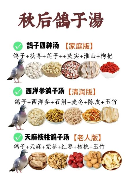 孕妇可以吃鸽子吗_孕妇吃鸽子汤的好处-第3张图片-星辰妙记