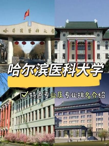 哈尔滨医科大学怎么样_哈尔滨医科大学专业排名-第3张图片-星辰妙记