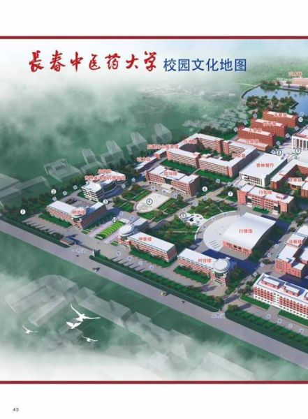 长春中医药大学地址在哪里_怎么去最方便-第1张图片-星辰妙记 长春中医药大学地址在哪里_怎么去最方便-第1张图片-星辰妙记