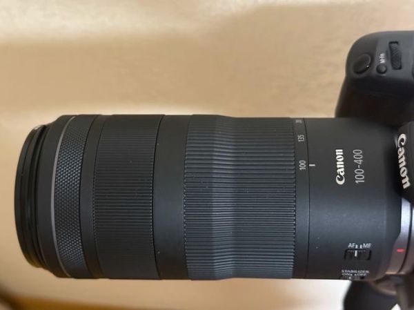 佳能100mm微距镜头值得买吗_实拍效果如何-第3张图片-星辰妙记 佳能100mm微距镜头值得买吗_实拍效果如何-第3张图片-星辰妙记