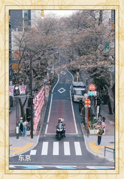 日影镜头是什么_如何拍出电影感-第1张图片-星辰妙记 日影镜头是什么_如何拍出电影感-第1张图片-星辰妙记