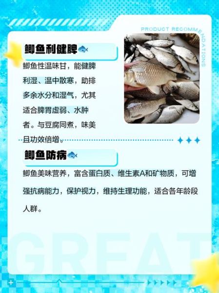孕妇可以吃鲫鱼吗_鲫鱼对胎儿有什么好处-第1张图片-星辰妙记