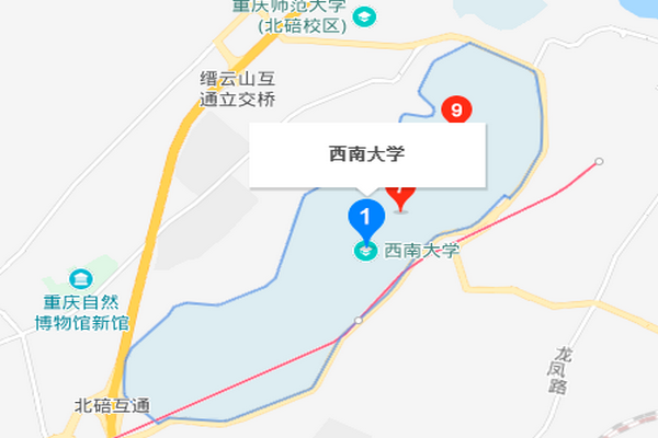 西南大学在哪_西南大学具体位置在哪-第1张图片-星辰妙记