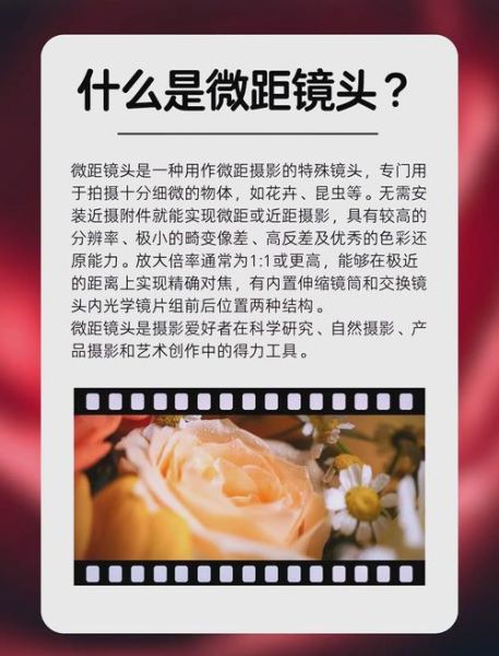 微距镜头怎么选_最佳微距镜头推荐-第1张图片-星辰妙记