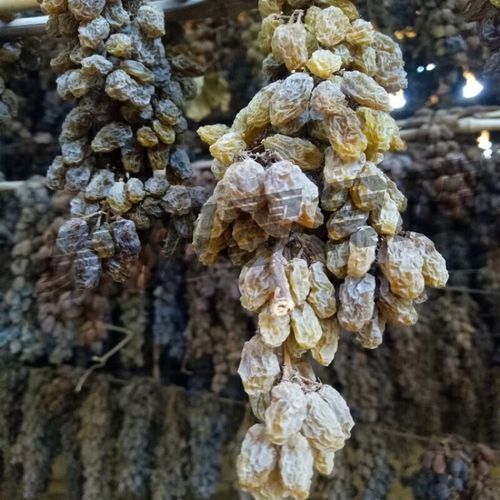 孕妇可以吃葡萄干吗_孕期吃葡萄干对胎儿好吗-第2张图片-星辰妙记 孕妇可以吃葡萄干吗_孕期吃葡萄干对胎儿好吗-第2张图片-星辰妙记