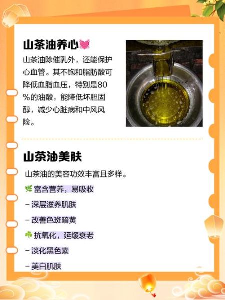孕妇可以吃茶油吗_孕期吃茶油对胎儿好吗-第2张图片-星辰妙记 孕妇可以吃茶油吗_孕期吃茶油对胎儿好吗-第2张图片-星辰妙记