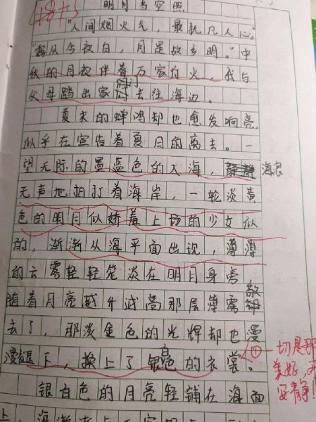 望月作文怎么写_小学生写景技巧-第3张图片-星辰妙记