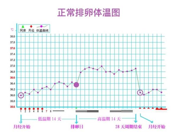 孕妇体温偏低正常吗_孕妇体温偏低对胎儿有影响吗-第1张图片-星辰妙记