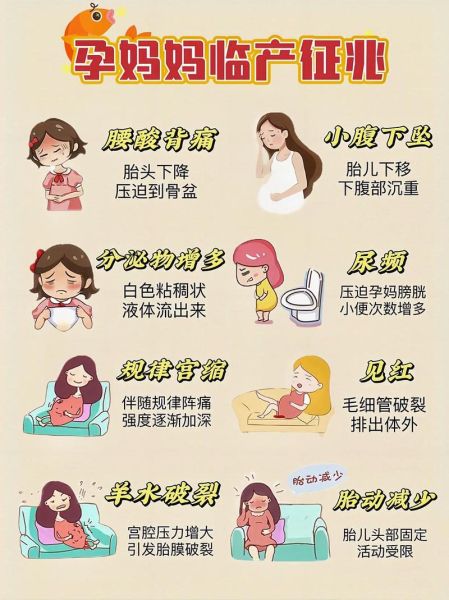 孕妇临产前有什么征兆_临产前几天会经历什么-第1张图片-星辰妙记
